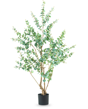 La Plante Artificielle Eucalyptus 180 cm est une grande plante artificielle aux branches fines et aux feuilles vertes rondes, présentée dans un simple pot noir sur fond blanc.