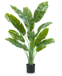 Plante artificielle Strelitzia Nicolai Deluxe 165 cm