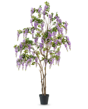 La plante de glycine artificielle 280 cm est une grande glycine artificielle dans un pot noir, avec de multiples troncs bruns minces et des fleurs violettes en cascade avec des feuilles vertes, sur un fond blanc uni.