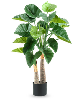 La plante artificielle Alocasia 120 cm possède de grandes feuilles vertes brillantes et deux tiges épaisses et structurées dans un simple pot noir, sur fond blanc.