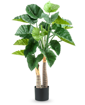 La plante artificielle Alocasia 120 cm possède de grandes feuilles vertes brillantes et deux tiges épaisses et structurées dans un simple pot noir, sur fond blanc.