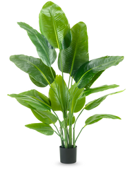 Plante artificielle Strelitzia Real Touch Deluxe 150 cm