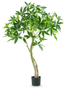 La Plante Artificielle Pachira 150 cm est une grande plante d'intérieur en pot avec plusieurs troncs élancés et des touffes de larges feuilles vertes brillantes sur un fond blanc uni.