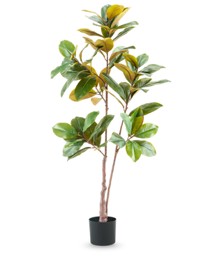 De Kunstplant Yulaniaboom 150 cm is een hoge, levensechte kunstplant met brede groene en gele bladeren in een zwarte pot, tegen een effen witte achtergrond.