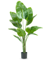 La Plante Artificielle Strelitzia 150 cm real touch2 possède de grandes feuilles vertes brillantes avec un aspect "oiseau de paradis" réaliste et une finition réaliste, présentées sur un fond blanc uni.