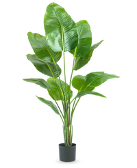 Plante artificielle Strelitzia 150 cm real touch