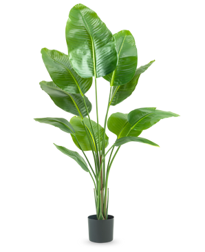La Plante Artificielle Strelitzia 150 cm real touch2 possède de grandes feuilles vertes brillantes avec un aspect "oiseau de paradis" réaliste et une finition réaliste, présentées sur un fond blanc uni.