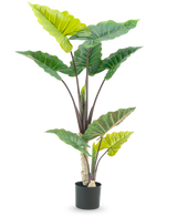 La plante artificielle Calocasia 150 cm a de grandes feuilles vertes larges et des tiges brunes robustes dans un pot haut, sur un fond blanc.