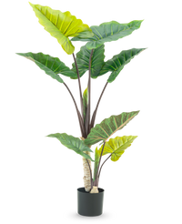 Plante artificielle Alocasia 150 cm