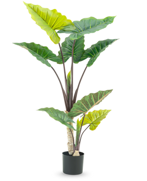 La plante artificielle Calocasia 150 cm a de grandes feuilles vertes larges et des tiges brunes robustes dans un pot haut, sur un fond blanc.