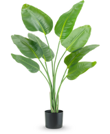 La plante artificielle Strelitzia 120 cm real touch a de hautes feuilles allongées vertes poussant vers le haut dans un pot noir, sur un fond blanc uni.