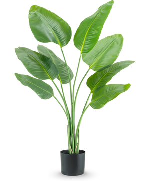 La plante artificielle Strelitzia 120 cm real touch a de hautes feuilles allongées vertes poussant vers le haut dans un pot noir, sur un fond blanc uni.