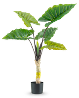 La plante artificielle Calocasia 120 cm possède de grandes feuilles vertes larges et une tige centrale épaisse dans un pot haut, sur un fond blanc uni.