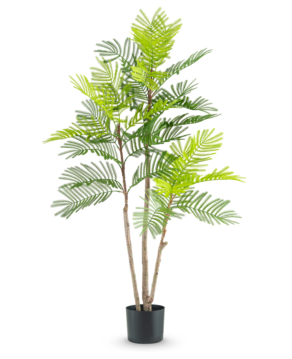 La plante de fougère artificielle de 120 cm a plusieurs tiges brunes minces et des feuilles vertes luxuriantes ressemblant à des fougères, dans un petit pot noir sur un fond blanc uni.