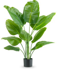 Plante artificielle Strelitzia Real Touch Deluxe 120 cm
