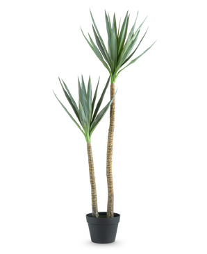 La Plante Artificielle Heneken 120 cm est une plante artificielle de yucca avec deux troncs hauts et élancés et des feuilles vertes pointues sur un fond blanc uni.