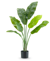 La plante artificielle Strelitzia Nicolai Deluxe 120 cm est une plante d'intérieur luxueuse avec de grandes feuilles larges dans un simple pot noir, élégante sur un fond blanc.