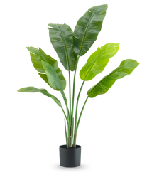 Plante artificielle Strelitzia Nicolai Deluxe 120 cm