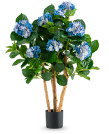 L'Hortensia Artificiel UV 85 cm bleu a de hautes tiges en bois et de grandes feuilles vertes, avec des bouquets de fleurs d'hortensia bleues et blanches dans un pot noir, parfait pour la décoration.