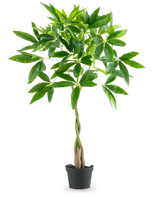 La Plante Artificielle Pachira 90 cm est un arbre à argent en pot au tronc tressé et aux grappes de feuilles vertes brillantes, isolées sur fond blanc.