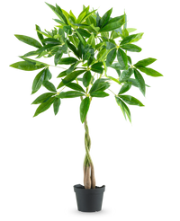 Plante artificielle Pachira 90 cm