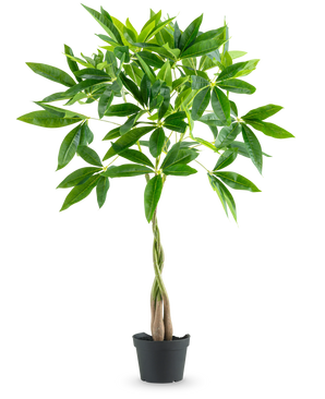 La Plante Artificielle Pachira 90 cm est un arbre à argent en pot au tronc tressé et aux grappes de feuilles vertes brillantes, isolées sur fond blanc.