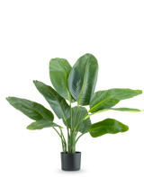 La plante artificielle Strelitzia Real Touch Deluxe 90 cm est une grande plante en pot avec de grandes feuilles vertes brillantes, représentées sur un fond blanc uni.