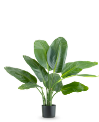 Plante artificielle Strelitzia Real Touch Deluxe 90 cm