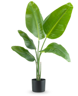 La plante artificielle Strelitzia 90 cm real touch possède de larges feuilles vertes brillantes et se présente dans un simple pot noir, sur un fond blanc uni.