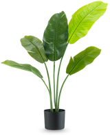 La plante artificielle Strelitzia Nicolai Deluxe 90 cm possède de grandes feuilles vertes brillantes sur de longues tiges et est présentée dans un simple pot noir sur un fond blanc uni.