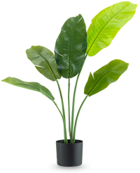 Plante artificielle Strelitzia Nicolai Deluxe 105 cm