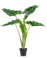 La plante artificielle Alocasia 80 cm a de grandes feuilles vert foncé en forme de flèche avec des nervures vert clair et est présentée dans un simple pot noir, sur un fond blanc uni.
