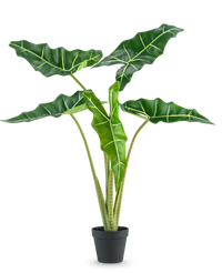Plante artificielle Alocasia 80 cm
