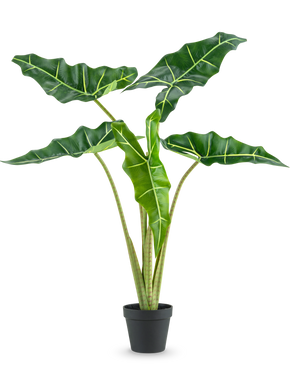 La plante artificielle Alocasia 80 cm a de grandes feuilles vert foncé en forme de flèche avec des nervures vert clair et est présentée dans un simple pot noir, sur un fond blanc uni.