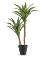 La plante artificielle Agave 76 cm possède deux tiges longues et épaisses avec de longues feuilles vertes pointues dans un pot noir, sur un fond blanc uni.