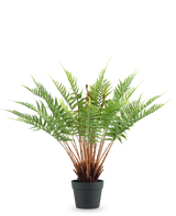 La Fougère Plante Artificielle 66 cm est une fougère artificielle en pot avec de longues feuilles vertes duveteuses et des tiges brunes, sur un fond blanc uni.