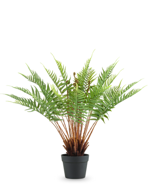La Fougère Plante Artificielle 66 cm est une fougère artificielle en pot avec de longues feuilles vertes duveteuses et des tiges brunes, sur un fond blanc uni.