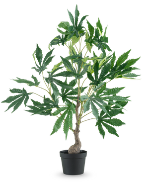 Une plante artificielle de chanvre, feuilles de cannabis de 60 cm, avec un tronc fin et plusieurs branches pleines de grandes feuilles vertes fantaisistes, sur un fond blanc uni.