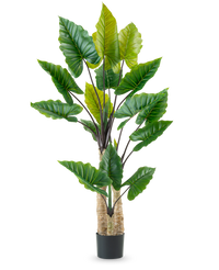 Plante artificielle Alocasia 210 cm