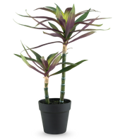 Une plante artificielle Yucca gigantea de 53 cm avec deux longues tiges vertes fines surmontées de feuilles pointues vertes et violettes dans un pot noir, sur fond blanc.