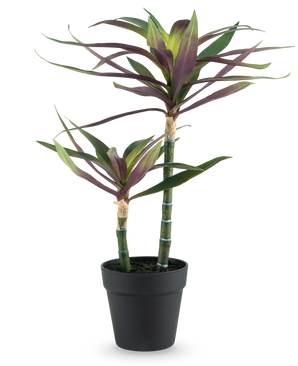 Une plante artificielle Yucca gigantea de 53 cm avec deux longues tiges vertes fines surmontées de feuilles pointues vertes et violettes dans un pot noir, sur fond blanc.