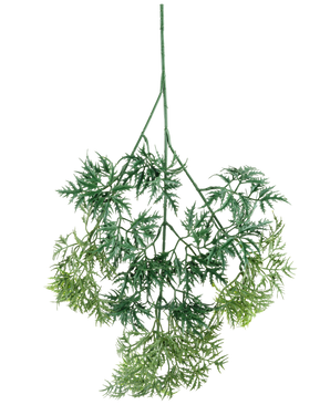 Le spray Kunsttak Ming Aralia 72 cm présente des feuilles artificielles vertes, légères comme une plume, avec de fins bords en forme d'aiguilles dans diverses nuances de vert, suspendues à l'envers sur un fond blanc.