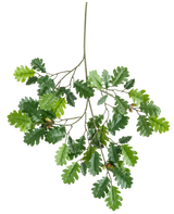 La Branche Artificielle Branche de Chêne 67 cm FR possède une branche avec plusieurs feuilles de chêne vertes et quelques glands sur un fond blanc.
