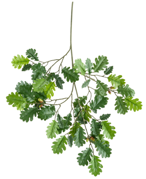 La Branche Artificielle Branche de Chêne 67 cm FR possède une branche avec plusieurs feuilles de chêne vertes et quelques glands sur un fond blanc.