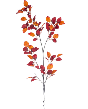 La Branche Artificielle Hêtre Rouge 156 cm est une branche unique à tiges multiples, avec des feuilles d'automne rouge vif et orange sur un fond blanc uni.