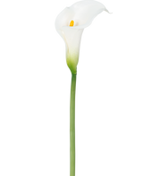 Un lys artificiel de 84 cm blanc avec un coeur jaune.