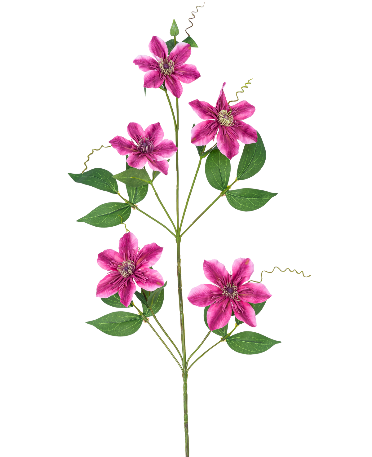 La fleur artificielle Clematis double 78 cm violette a cinq fleurs doubles violettes en forme d'étoile avec des feuilles vertes et des vrilles bouclées sur des tiges minces, sur un fond blanc.