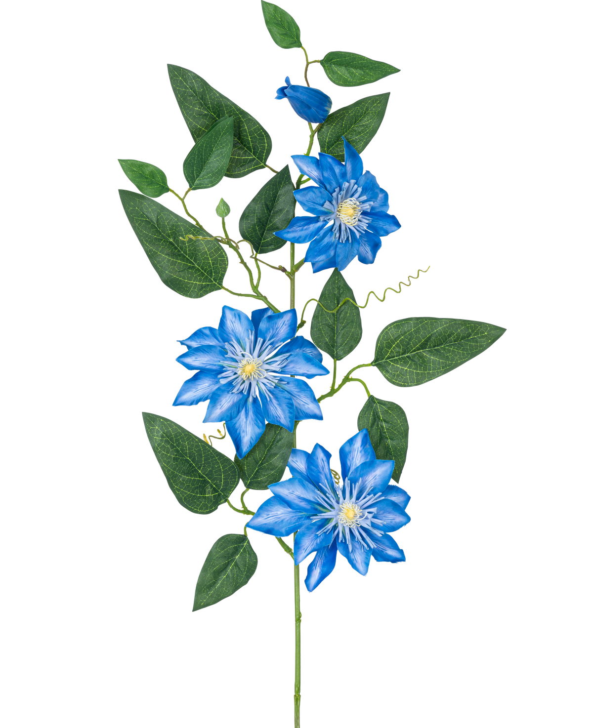 La Fleur Artificielle Clématite grande 81 cm bleue a une tige avec plusieurs feuilles vertes et quatre fleurs de clématite bleu vif, chacune avec un cœur blanc et des pétales pointus, sur un fond blanc.