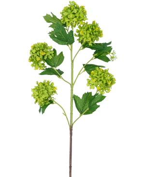 La Branche Artificielle Boule de Neige 77 cm verte a une seule tige avec plusieurs bouquets de fleurs rondes vert-jaune et des feuilles dentelées vert foncé, le tout sur un fond blanc.
