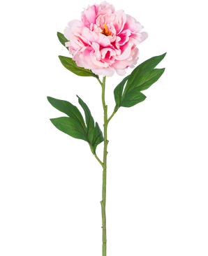 Une seule fleur artificielle pivoine de 77 cm rose clair avec des feuilles vertes luxuriantes sur un fond blanc uni.